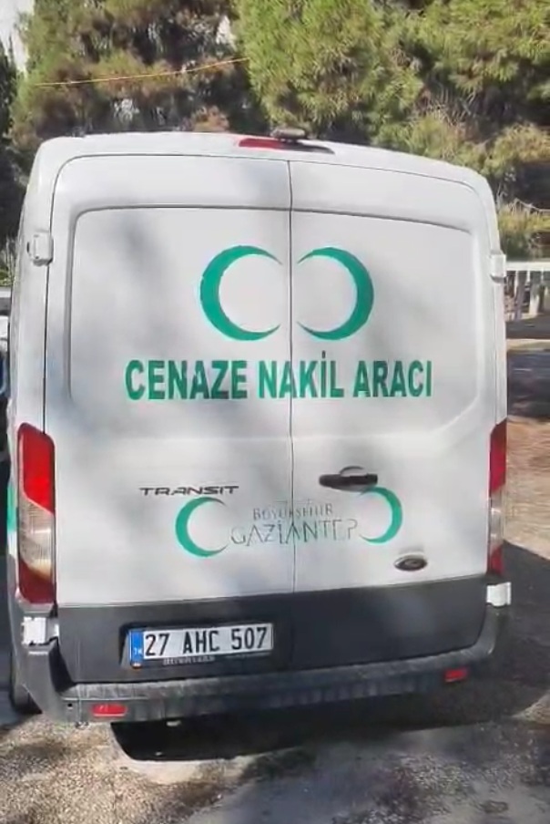 df_SlZdR.jpg