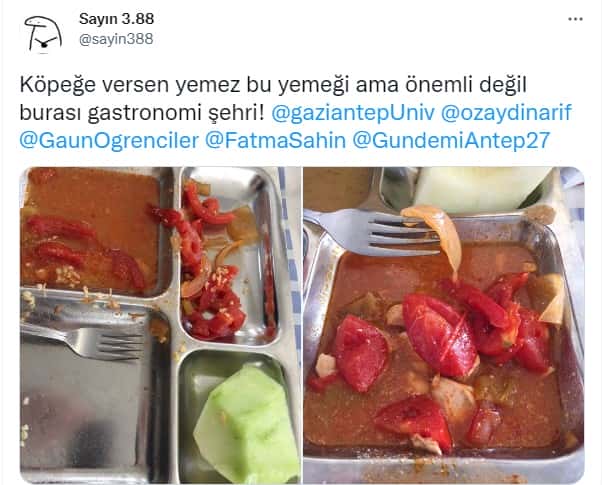 fg_gAJgR.jpg